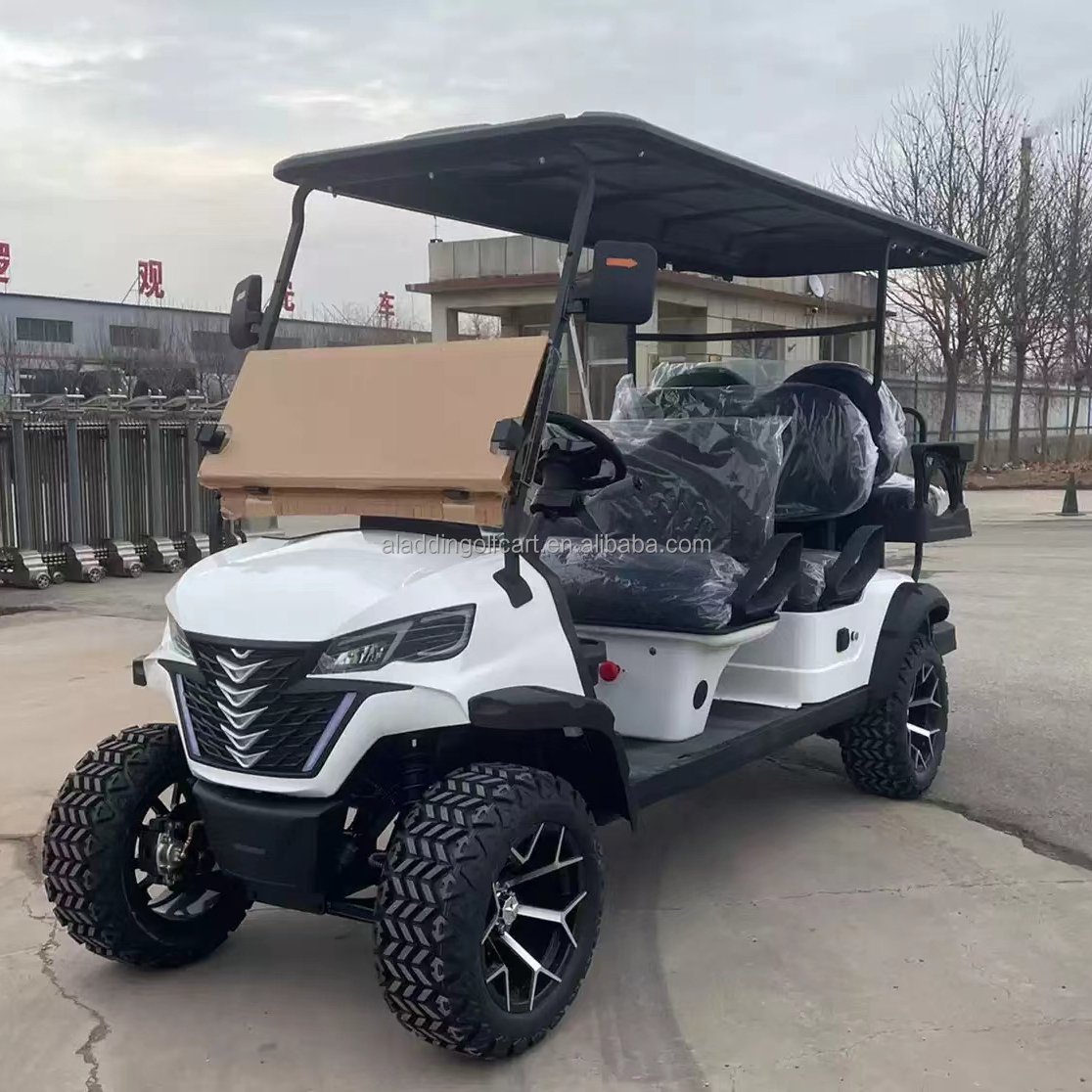 Manufacture Supply Personal Electric Golf Cart Four Wheels Electric Powered With CE Certificate Hot Sale in USA